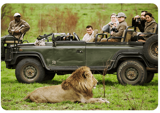 CP-Safari CP-Safari